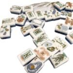 Coastal Garden Acrylic American Mahjong Tile Set